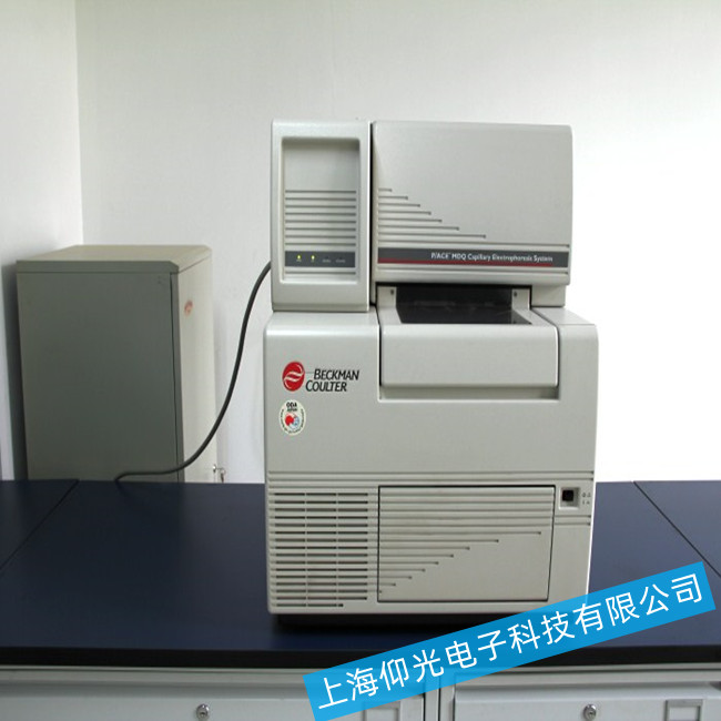 ؐ����ë��(x��)���Ӿ�x�Ӿ�岻���Q����̎������